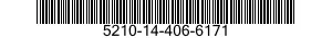 5210-14-406-6171  5210144066171 144066171