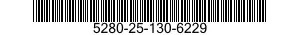 5280-25-130-6229  5280251306229 251306229