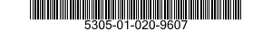 5305-01-020-9607 SCREW,CAP,SOCKET HEAD 5305010209607 010209607