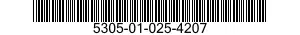 5305-01-025-4207  5305010254207 010254207