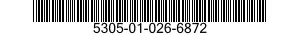 5305-01-026-6872  5305010266872 010266872
