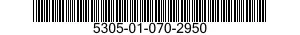 5305-01-070-2950  5305010702950 010702950