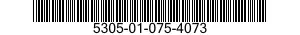 5305-01-075-4073  5305010754073 010754073