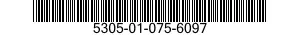 5305-01-075-6097  5305010756097 010756097