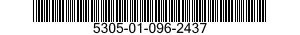 5305-01-096-2437  5305010962437 010962437