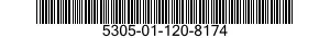 5305-01-120-8174  5305011208174 011208174