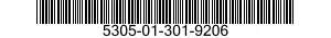 5305-01-301-9206  5305013019206 013019206