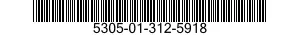 5305-01-312-5918 SCREW,LAG 5305013125918 013125918