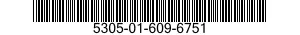 5305-01-609-6751 SCREW,DRIVE 5305016096751 016096751