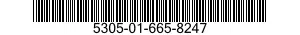 5305-01-665-8247 SCREW,CAP,HEXAGON HEAD 5305016658247 016658247