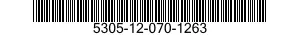 5305-12-070-1263 SCREW,MACHINE 5305120701263 120701263