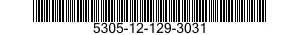 5305-12-129-3031  5305121293031 121293031