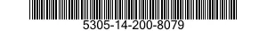 5305-14-200-8079  5305142008079 142008079