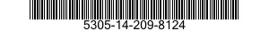 5305-14-209-8124  5305142098124 142098124