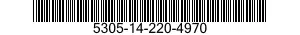 5305-14-220-4970  5305142204970 142204970