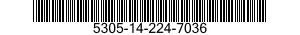 5305-14-224-7036  5305142247036 142247036
