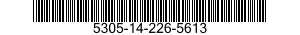 5305-14-226-5613  5305142265613 142265613