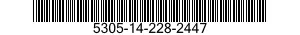 5305-14-228-2447  5305142282447 142282447