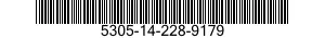 5305-14-228-9179  5305142289179 142289179