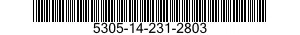 5305-14-231-2803  5305142312803 142312803