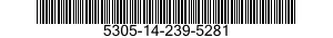 5305-14-239-5281  5305142395281 142395281