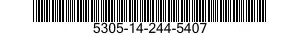 5305-14-244-5407  5305142445407 142445407