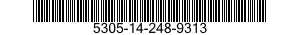 5305-14-248-9313  5305142489313 142489313