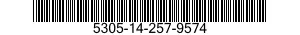 5305-14-257-9574  5305142579574 142579574