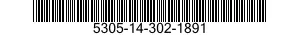 5305-14-302-1891  5305143021891 143021891