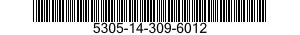 5305-14-309-6012  5305143096012 143096012