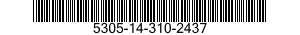 5305-14-310-2437 SETSCREW 5305143102437 143102437