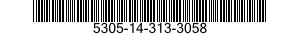 5305-14-313-3058  5305143133058 143133058
