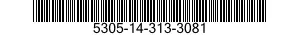 5305-14-313-3081  5305143133081 143133081