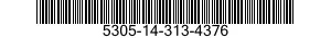 5305-14-313-4376  5305143134376 143134376