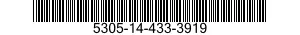 5305-14-433-3919 VIS 5305144333919 144333919