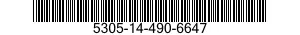 5305-14-490-6647  5305144906647 144906647