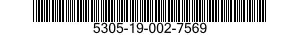 5305-19-002-7569 SCREW,TAPPING 5305190027569 190027569