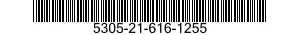 5305-21-616-1255  5305216161255 216161255