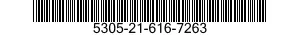 5305-21-616-7263  5305216167263 216167263