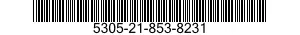 5305-21-853-8231  5305218538231 218538231