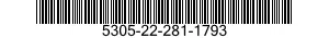 5305-22-281-1793  5305222811793 222811793