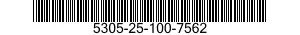 5305-25-100-7562  5305251007562 251007562