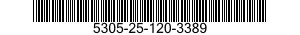 5305-25-120-3389 GASKET 5305251203389 251203389