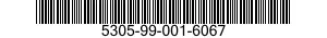 5305-99-001-6067 SCREW,CAP,SOCKET HEAD 5305990016067 990016067