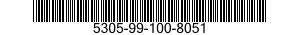 5305-99-100-8051  5305991008051 991008051
