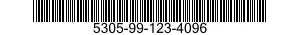 5305-99-123-4096  5305991234096 991234096