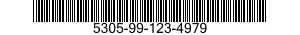 5305-99-123-4979  5305991234979 991234979