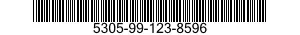 5305-99-123-8596  5305991238596 991238596