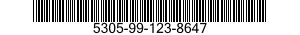 5305-99-123-8647  5305991238647 991238647