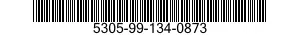 5305-99-134-0873  5305991340873 991340873